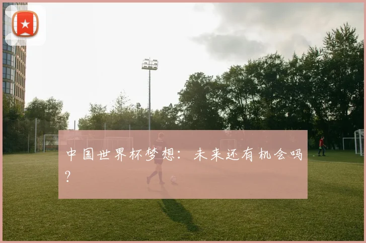 中国世界杯梦想：未来还有机会吗？