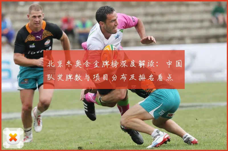 北京冬奥会金牌榜深度解读：中国队奖牌数与项目分布及排名看点