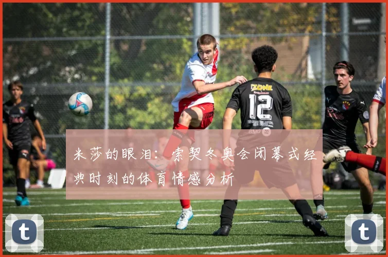 米莎的眼泪：索契冬奥会闭幕式经典时刻的体育情感分析