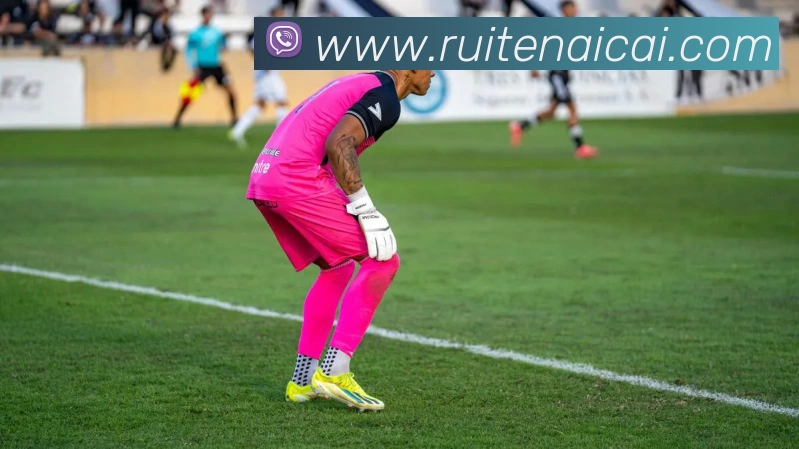 开云手机入口登录官网品牌故事